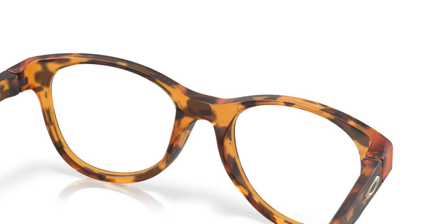 [Matte Ginger Tortoise Frame]