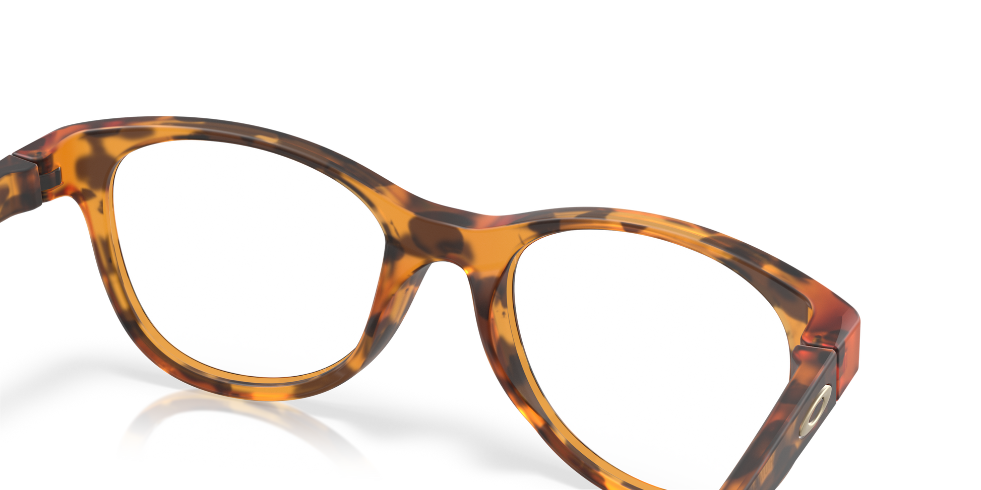 [Matte Ginger Tortoise Frame]