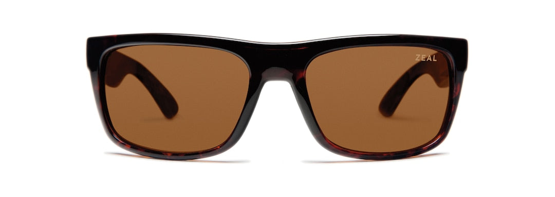 [Shiny Demi Tortoise/Copper]