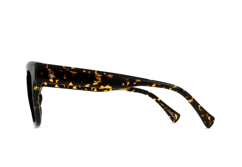 [Cosmos Tortoise / Dark Smoke]