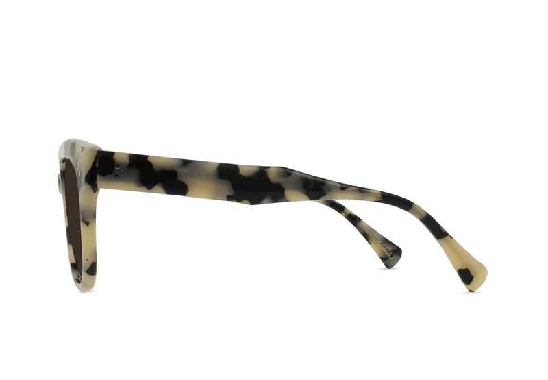 [Ivory Tortoise / Carob]