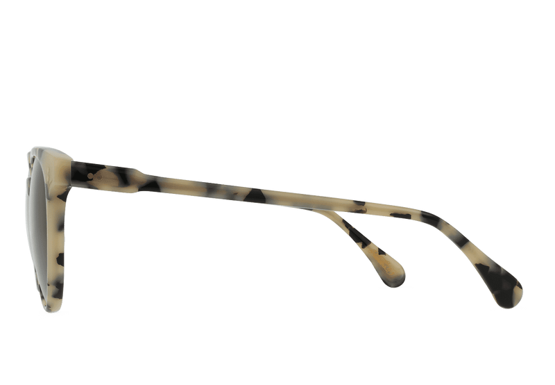 [Ivory Tortoise / Carob]