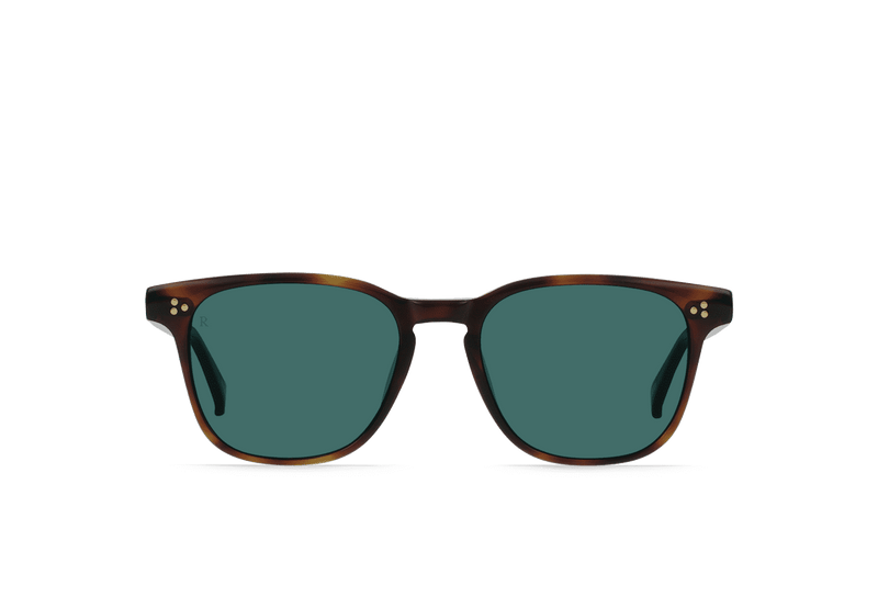 [Kola Tortoise / Pacifica]