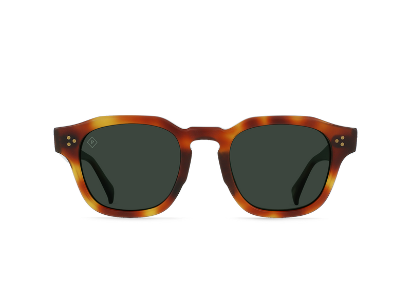 [Split Moab Tortoise / Green Polarized]