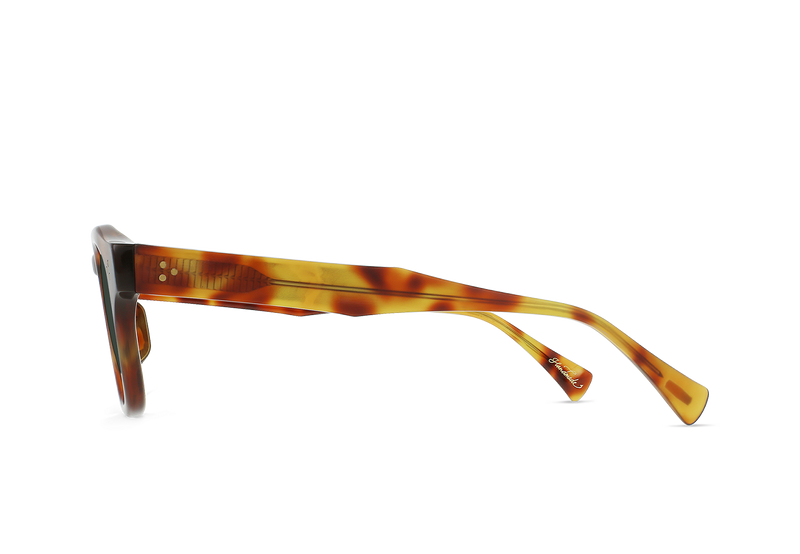 [Split Moab Tortoise / Green Polarized]