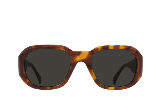 [Oso Tortoise / Monsoon]