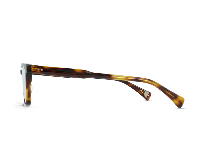 [Kola Tortoise / Clear]