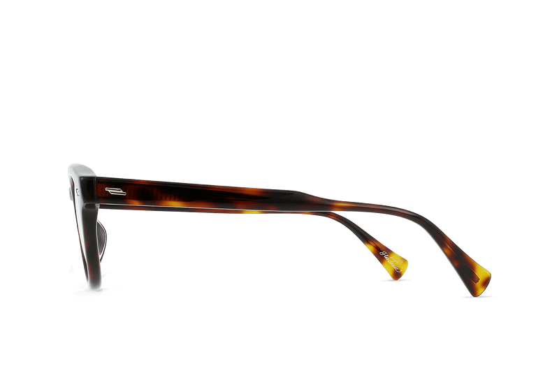 [Kola Tortoise / Clear]