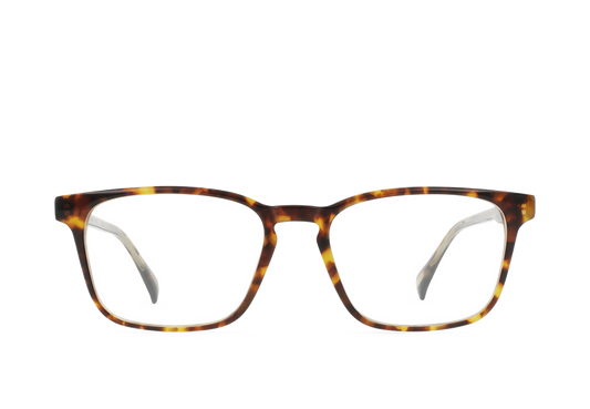 [Rio Tortoise / Clear]