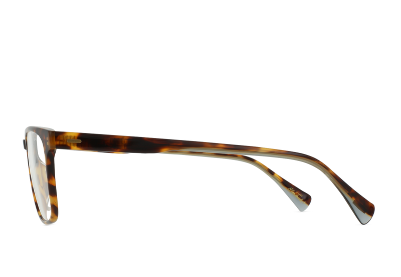 [Rio Tortoise / Clear]