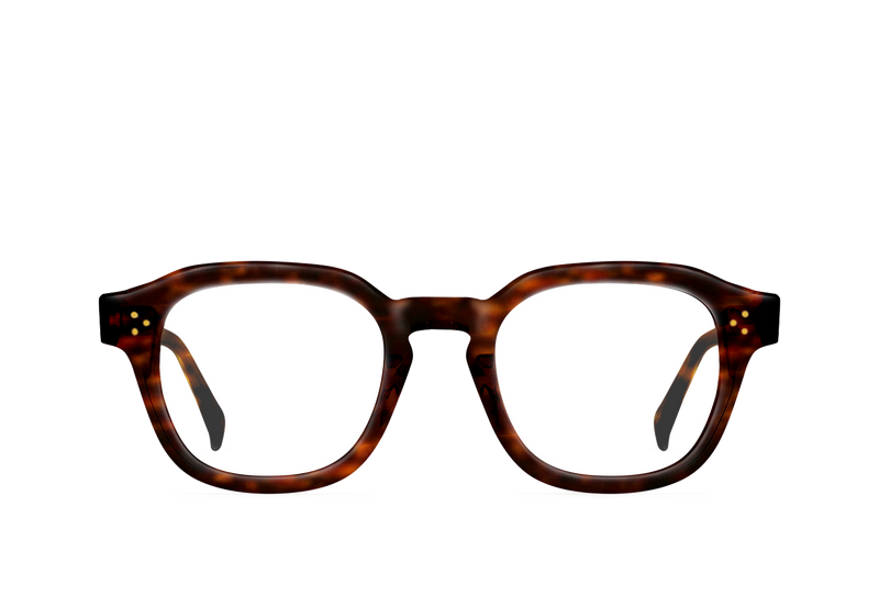 [Kola Tortoise / Clear]
