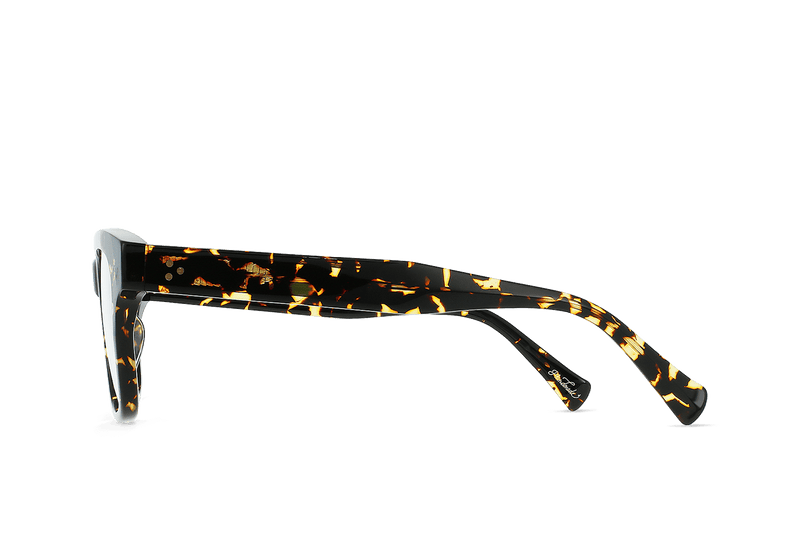 [Cosmos Tortoise / Clear]