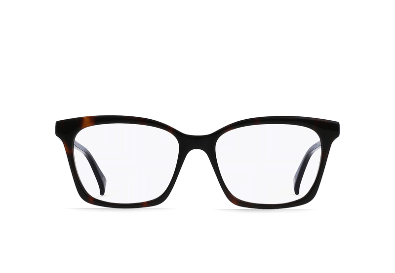 [Kola Tortoise / Clear]