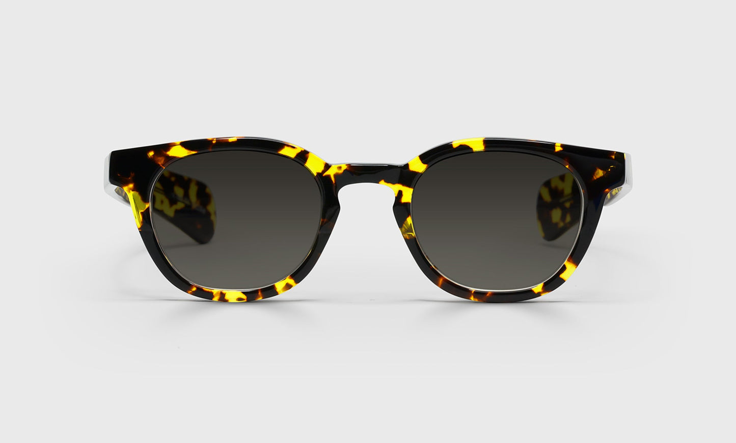 [20 - Demi Tortoise Front and Temples]