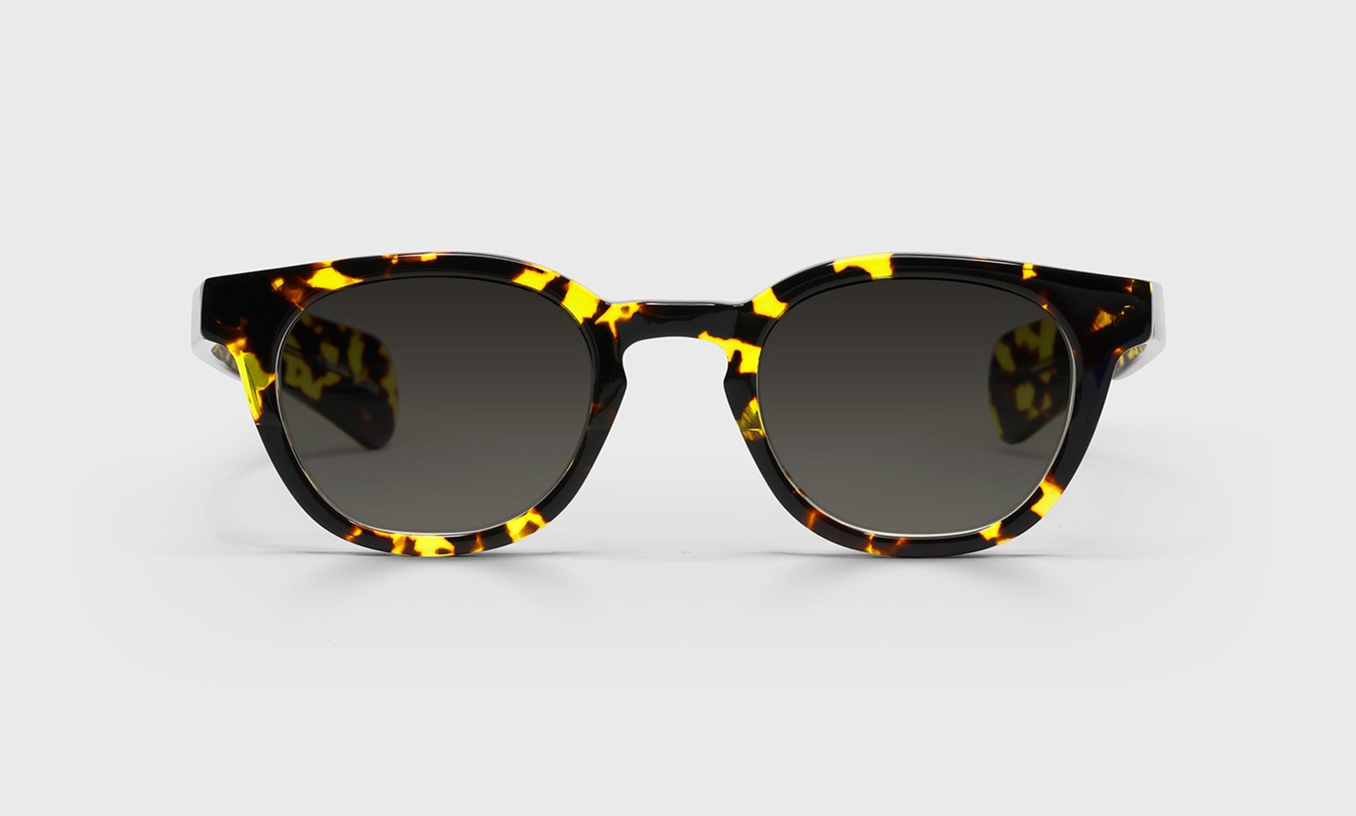 [20 - Demi Tortoise Front and Temples]