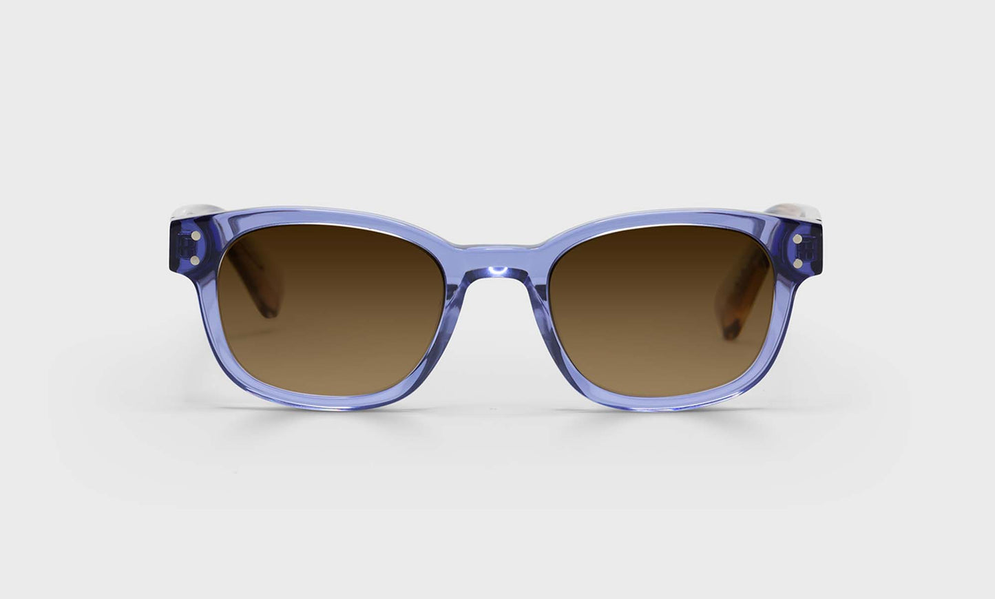 [55 - Transparent Purple Front with Purple/Blush Transparent Temples]