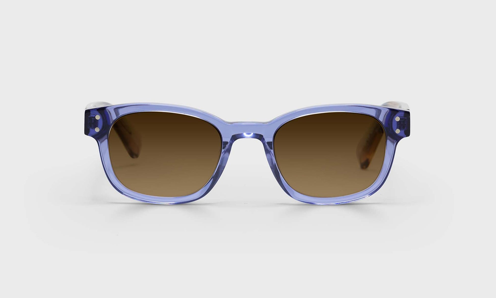 [55 - Transparent Purple Front with Purple/Blush Transparent Temples]