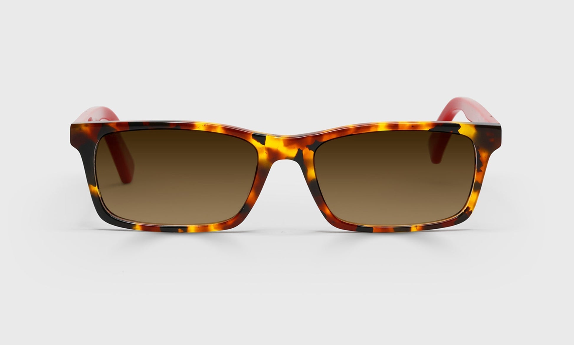 [41 - Tortoise Front with Red Temples]
