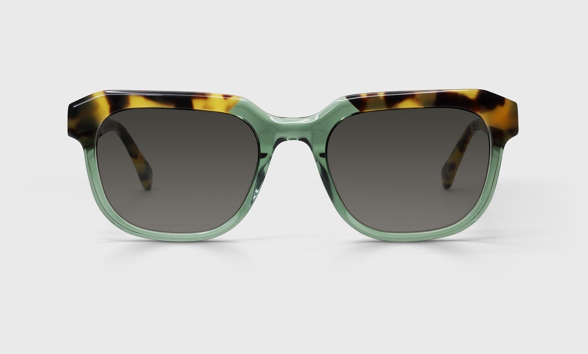 [17 - Green and Tortoise Front with Tortoise Temples]