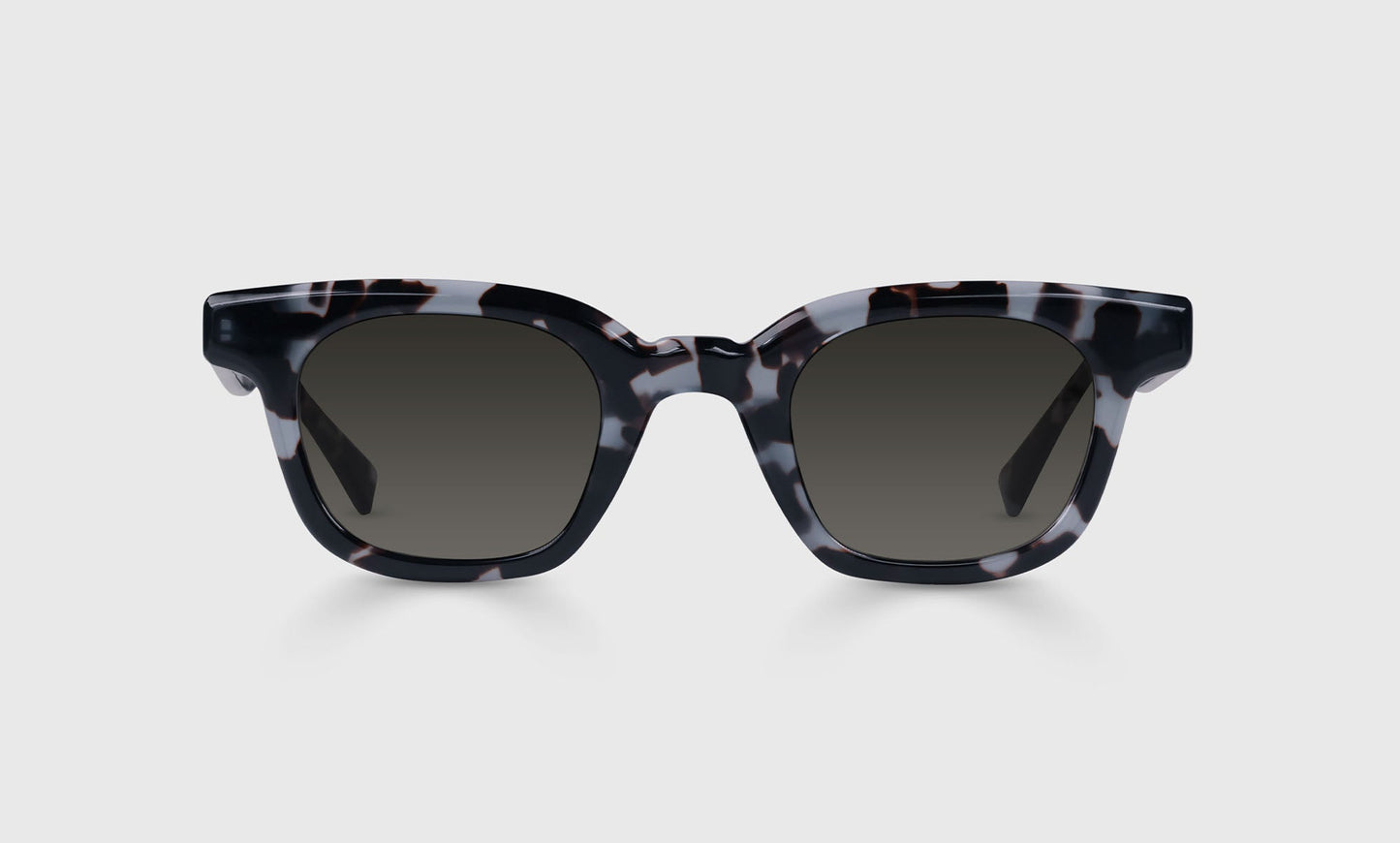 [13 - Icy Blue Tortoise Front and Temples]