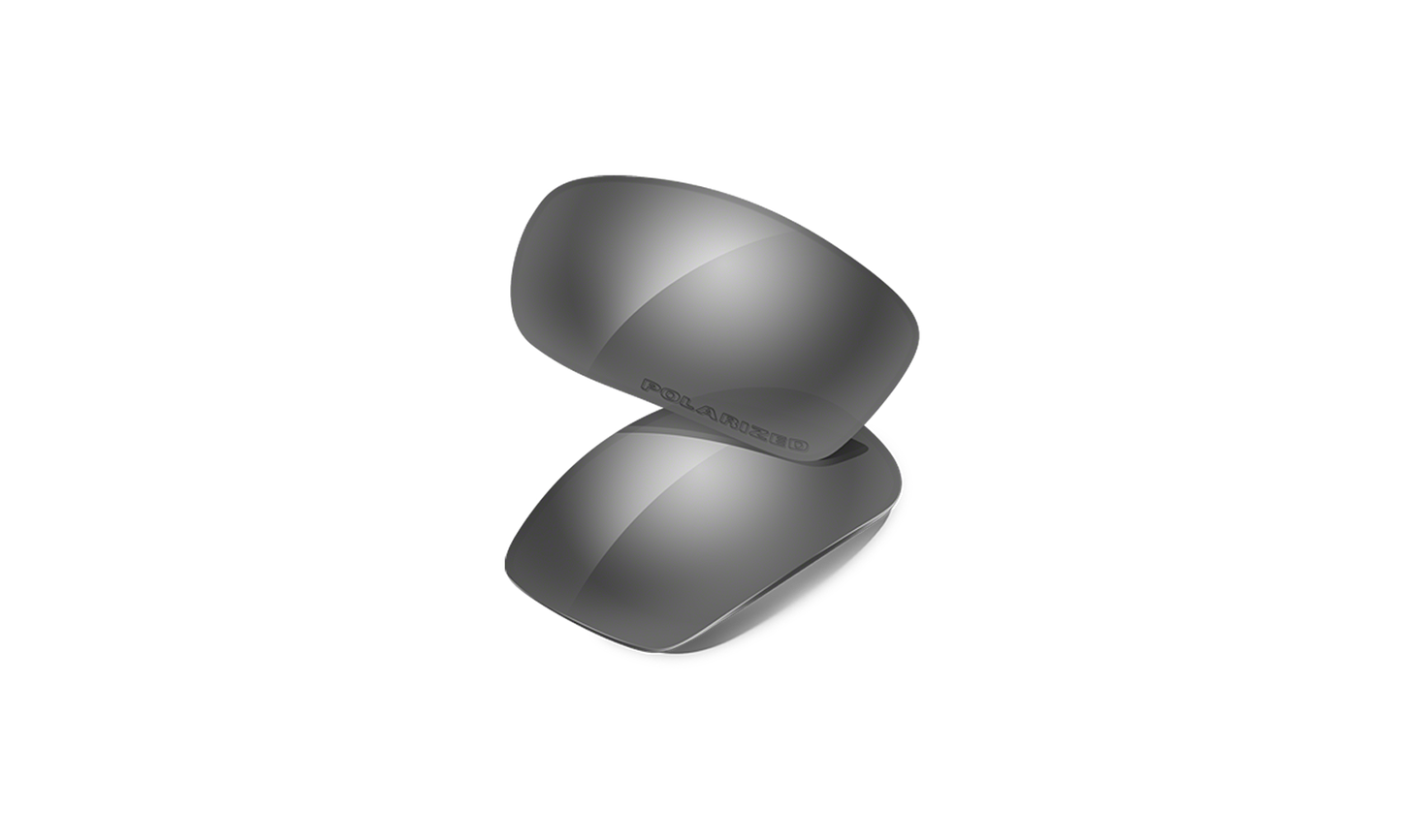 [Black Iridium Polarized Lenses]