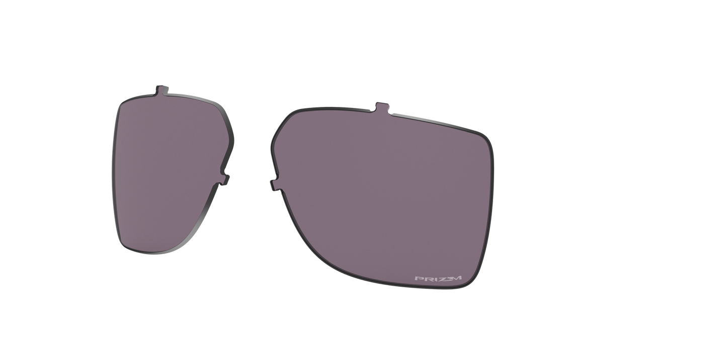 [Prizm Grey Lenses]