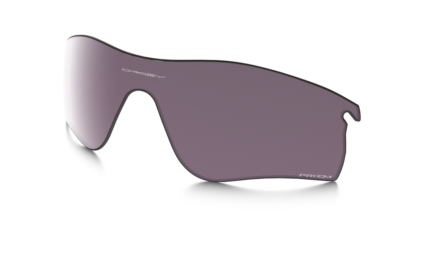 [Prizm Daily Polarized Lenses]