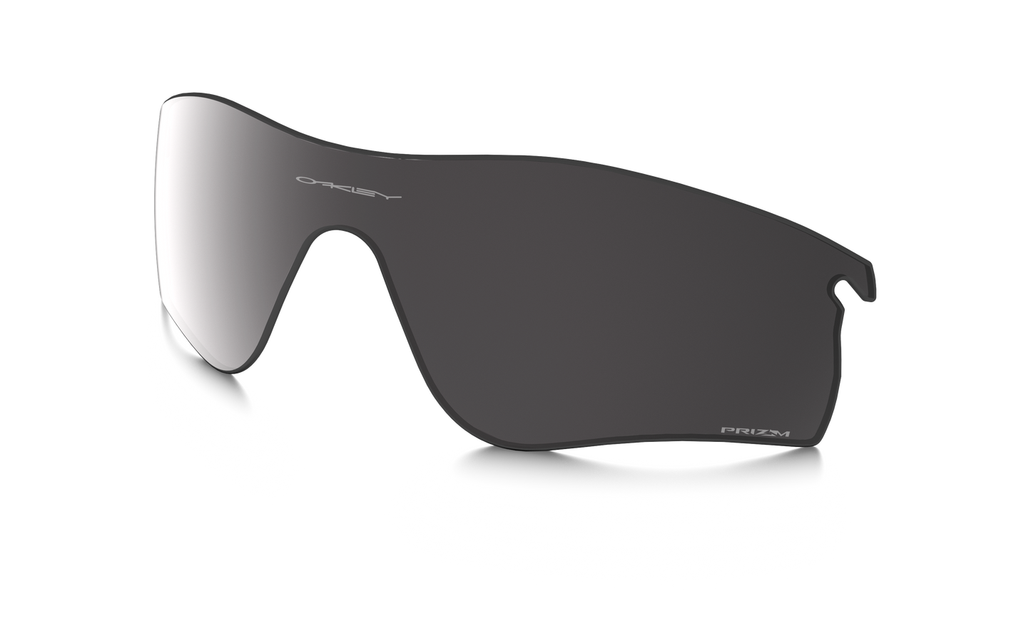 [Prizm Black Polarized Lenses]