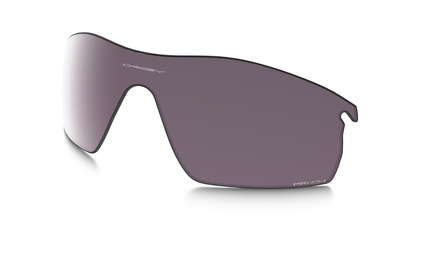 [Prizm Daily Polarized Lenses]