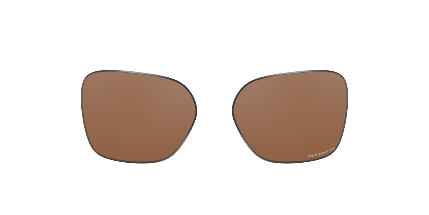 [Prizm Tungsten Polarized Lenses]