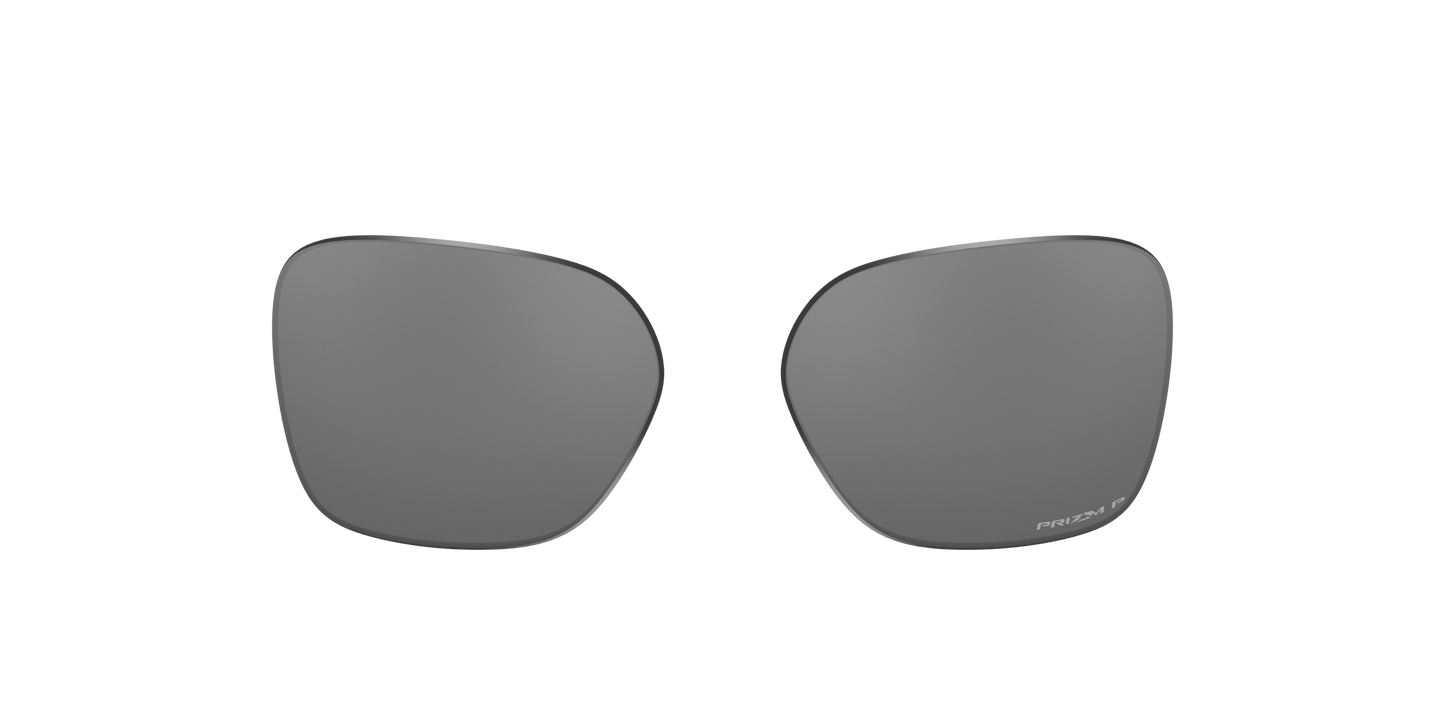 [Prizm Black Polarized Lenses]