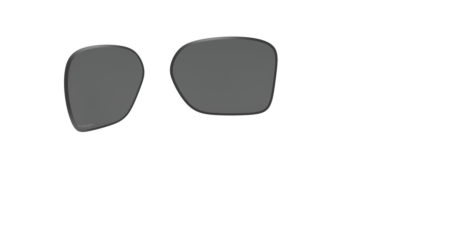 [Prizm Black Polarized Lenses]