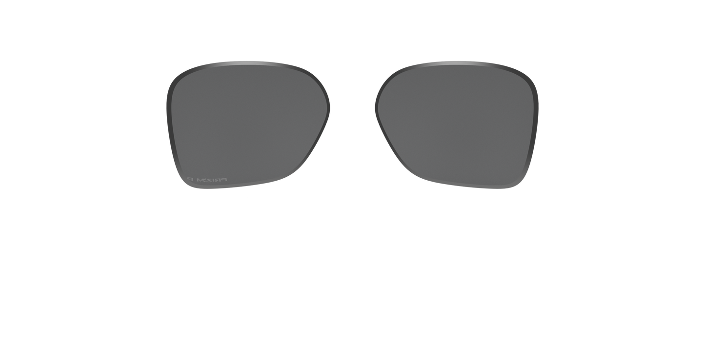 [Prizm Black Polarized Lenses]