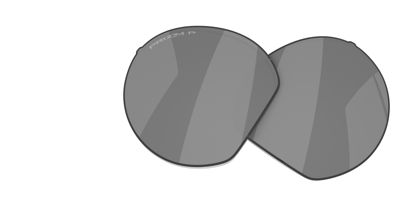 [Prizm Black Polarized Lenses]