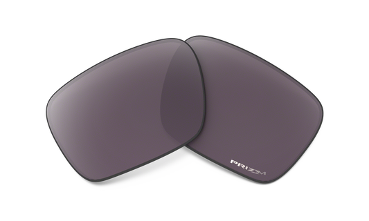 [Prizm Daily Polarized Lenses]