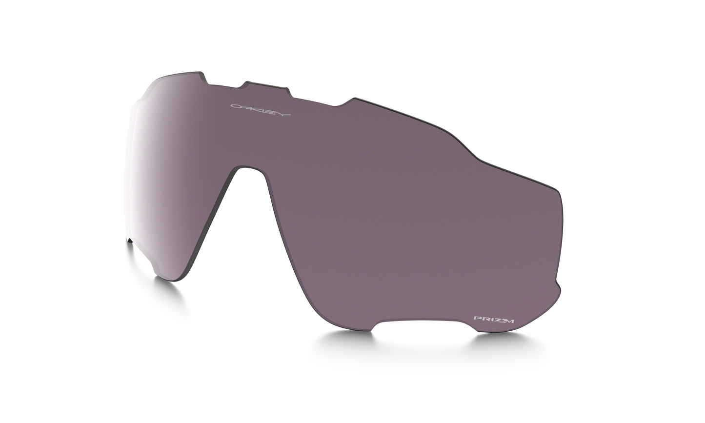 [Prizm Daily Polarized Lenses]