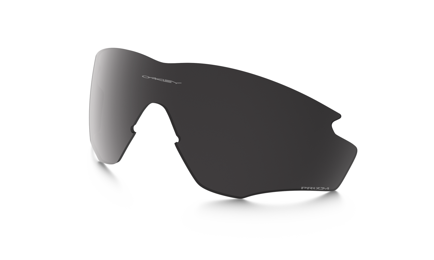 [Prizm Black Polarized Lenses]