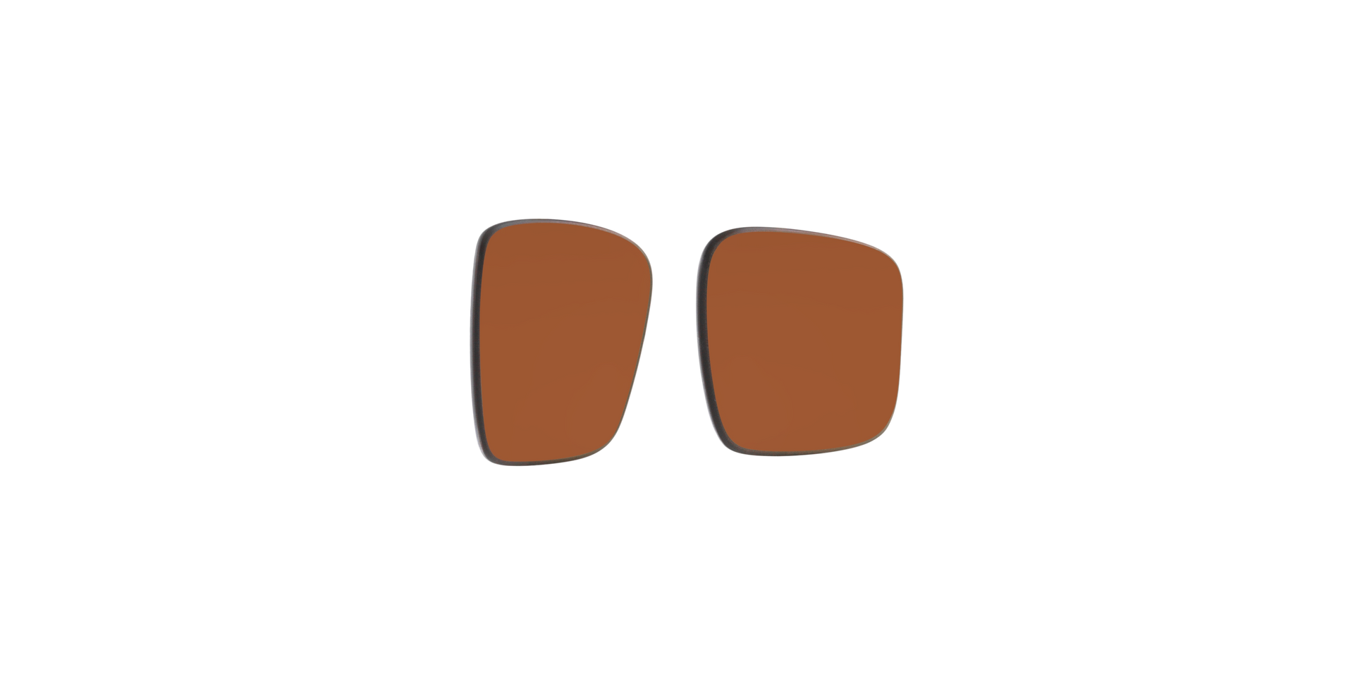 [Prizm Shallow Water Polarized Lenses]