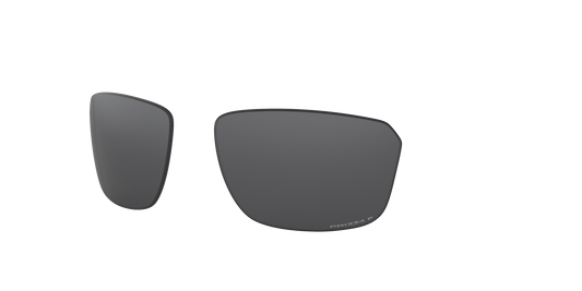 [Prizm Black Polarized Lenses]