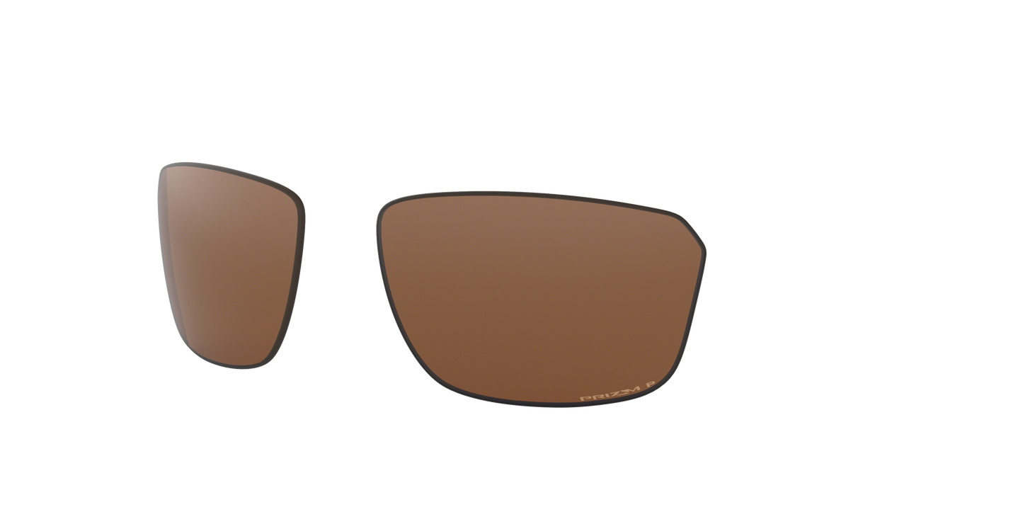 [Prizm Tungsten Polarized Lenses]