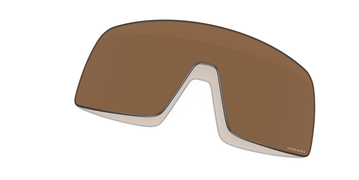 [Prizm Bronze Lenses]