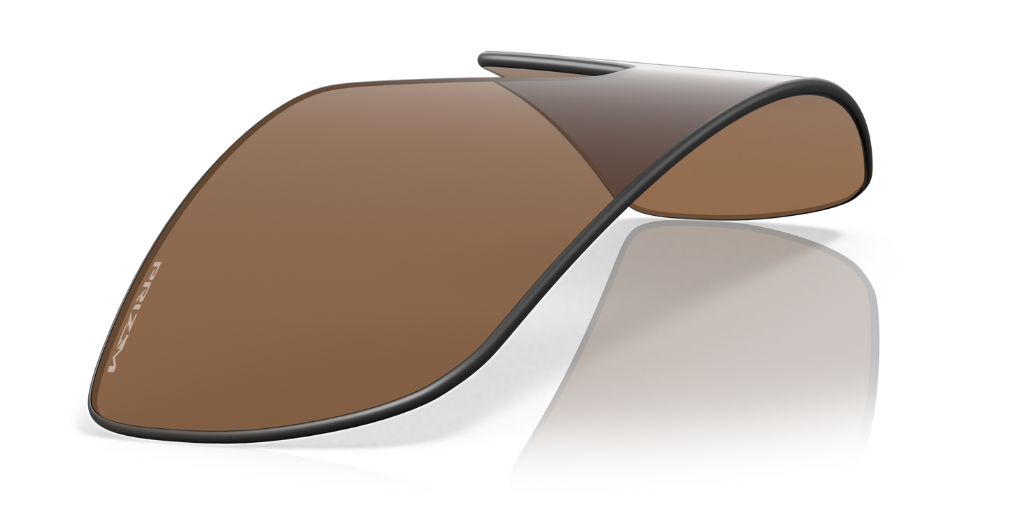 [Prizm Bronze Lenses]