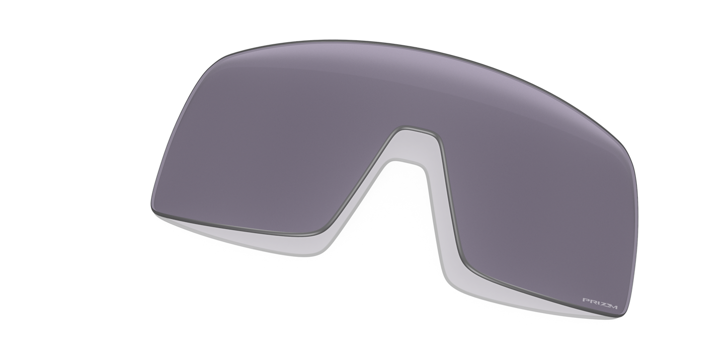 [Prizm Grey Lenses]