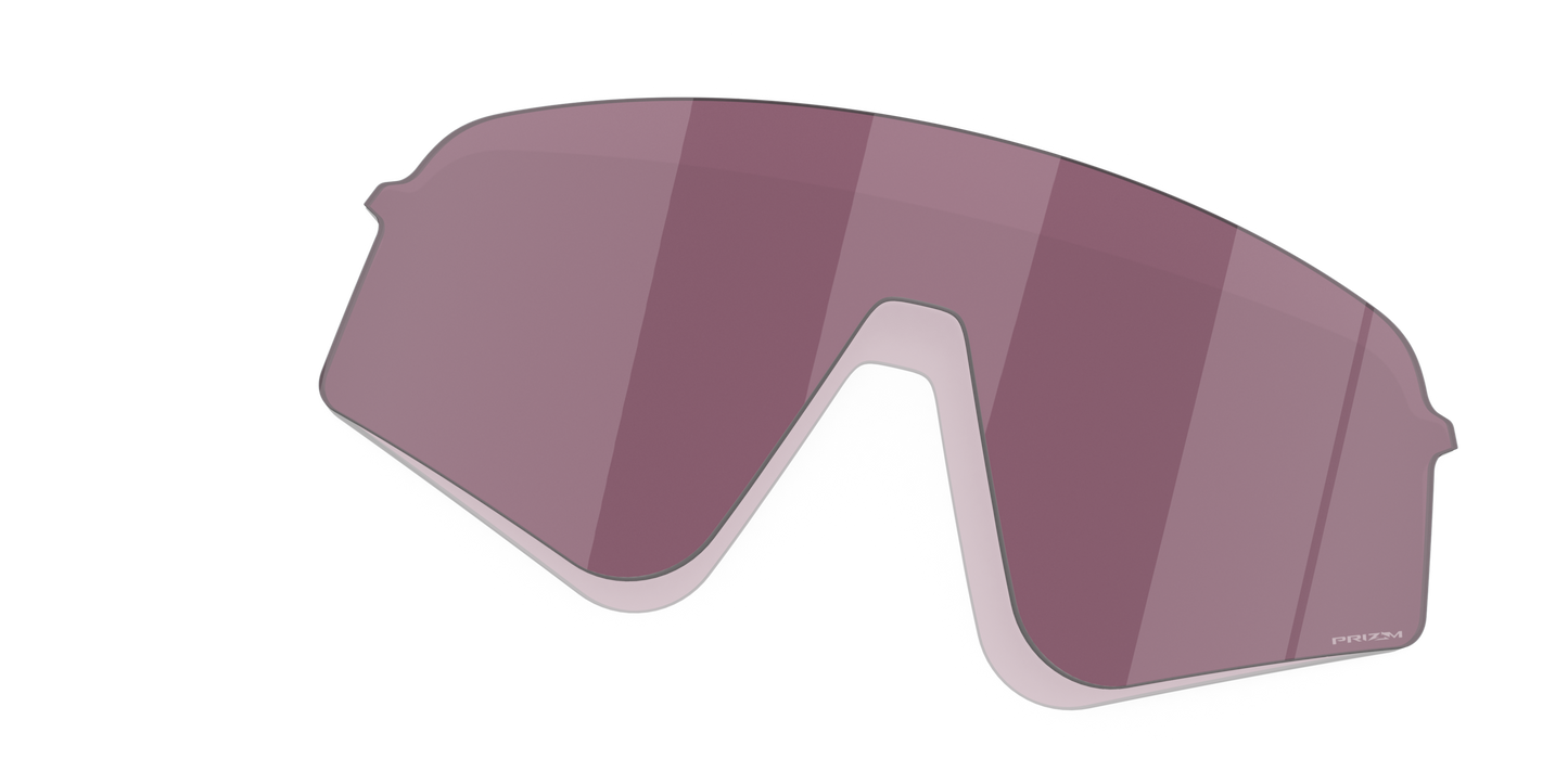 [Prizm Road Black Lenses]