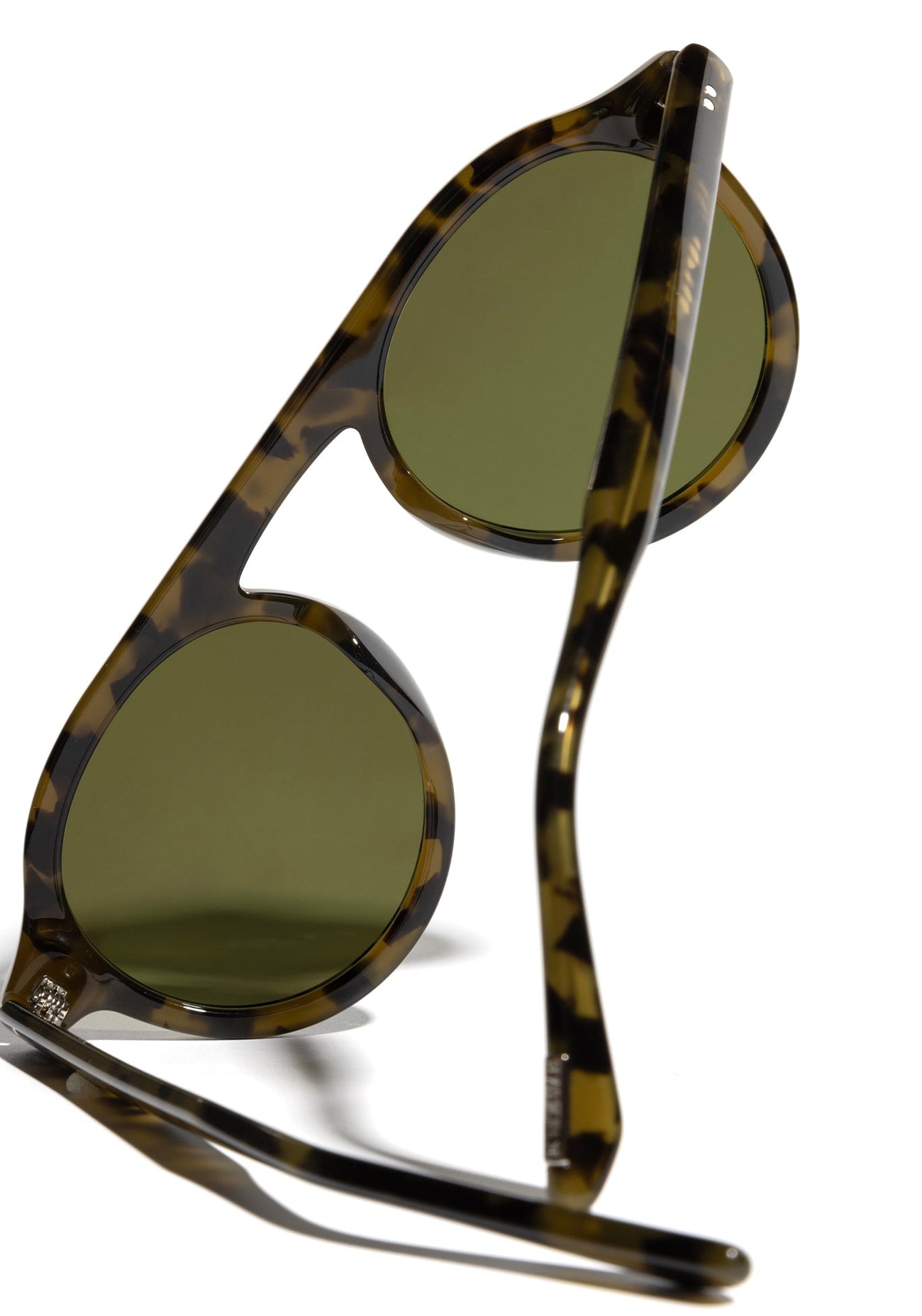 [Tortuga Polarized]