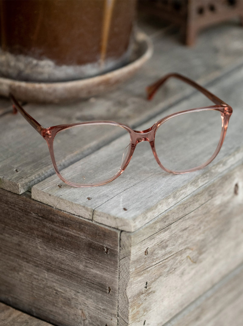 [Almond Tortoise / Clear]