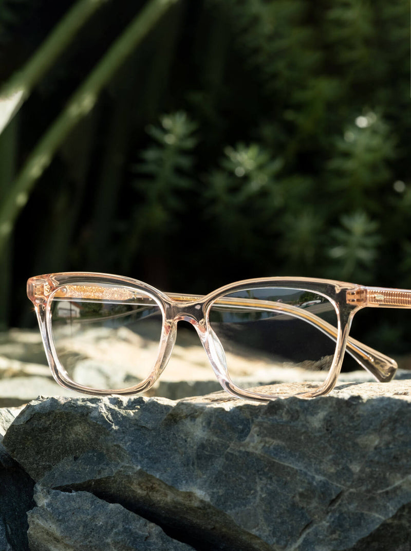 [Kola Tortoise / Clear]