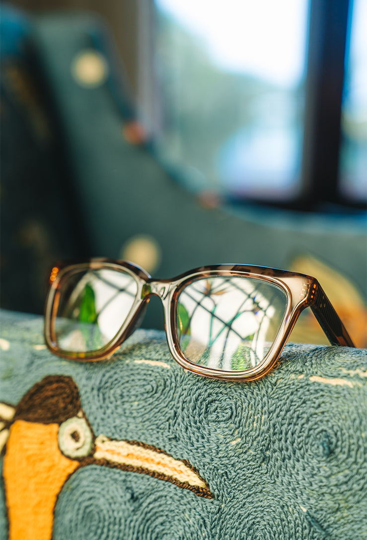 [Horizon Tahoe Tortoise / Clear]
