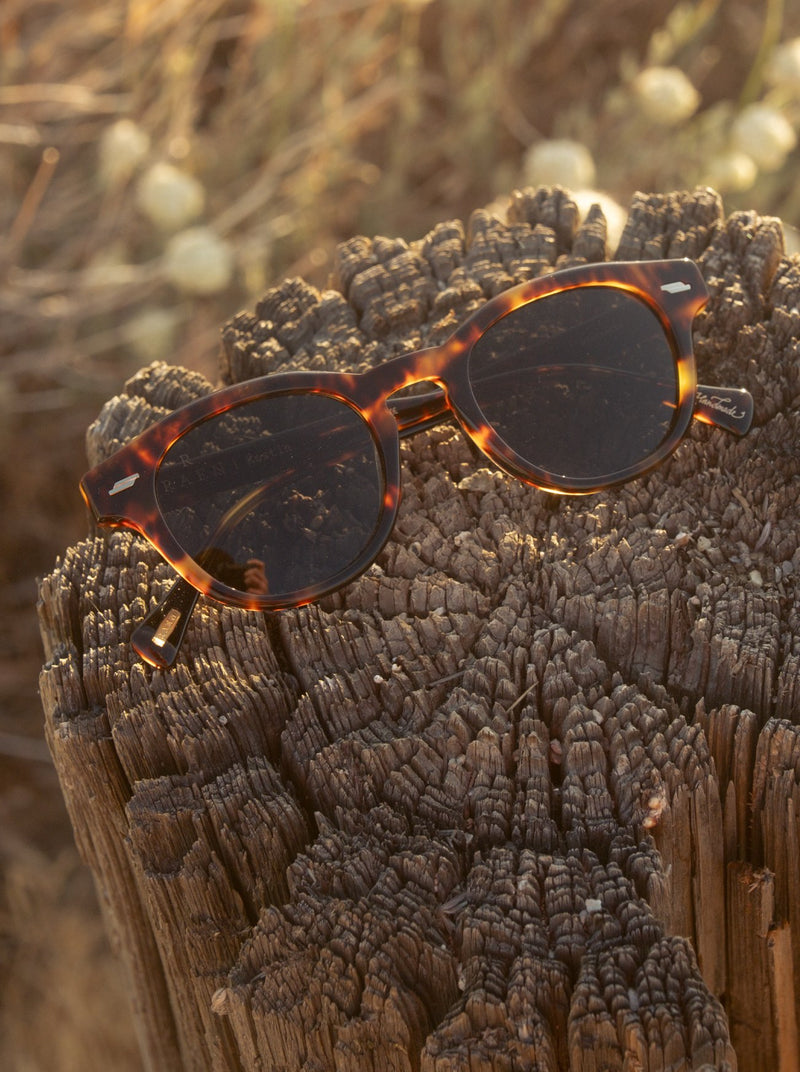[Twilight Polarized / Vibrant Brown Polarized]