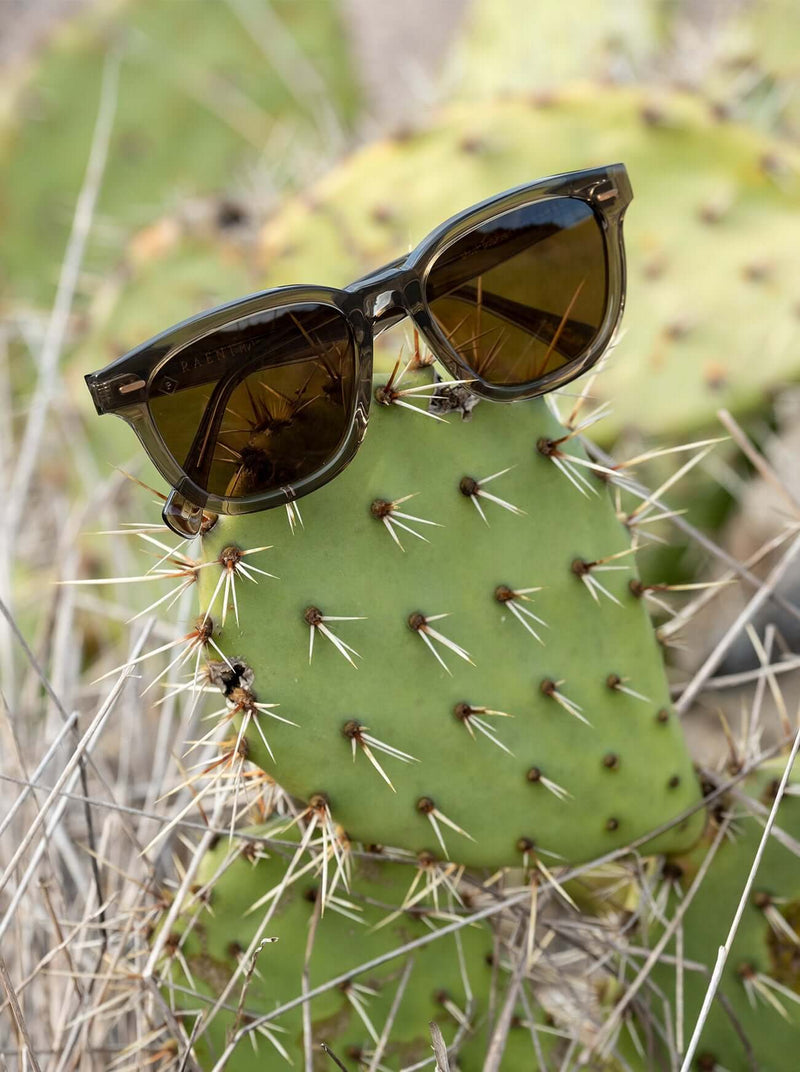 [Recycled Black / Green Polarized]
